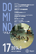 ドミノ 2015_17 号