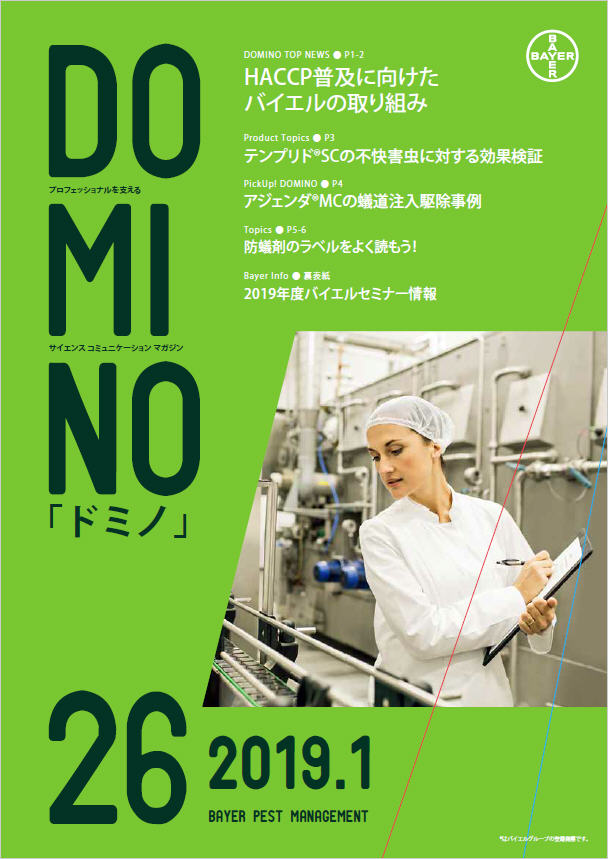 ドミノ26号