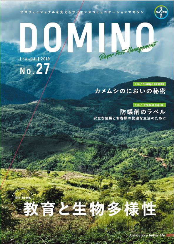 ドミノ27号