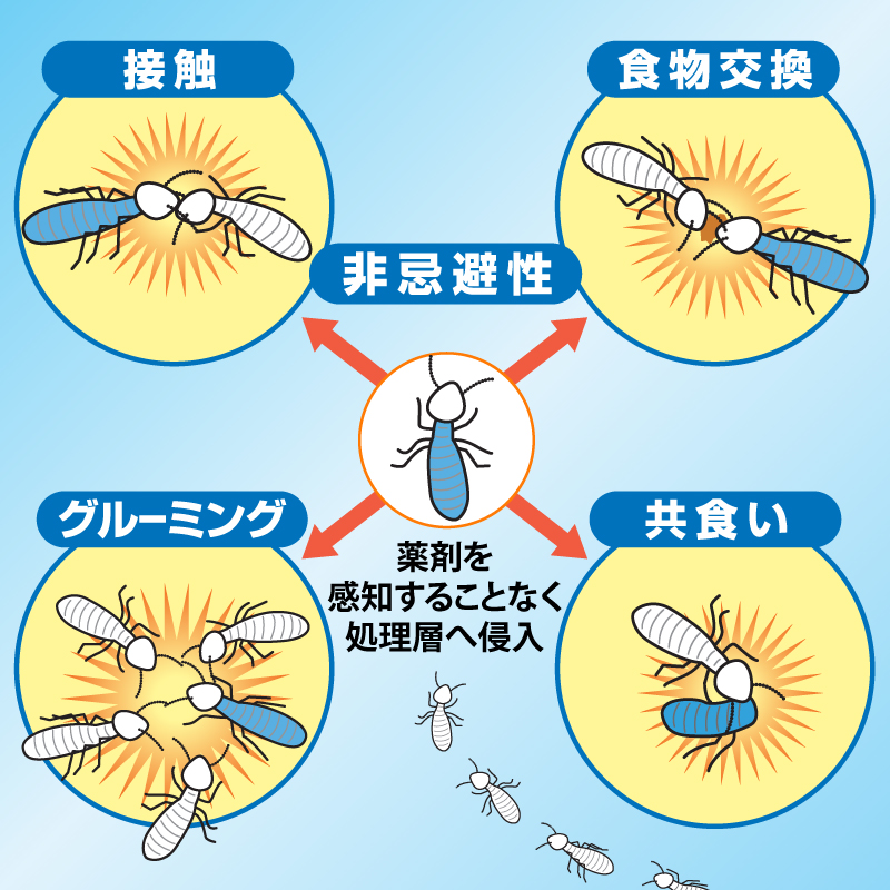 ドミノ効果の説明