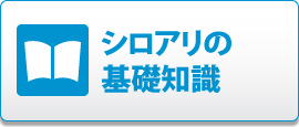 シロアリの基礎知識