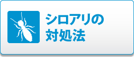 シロアリの対処法