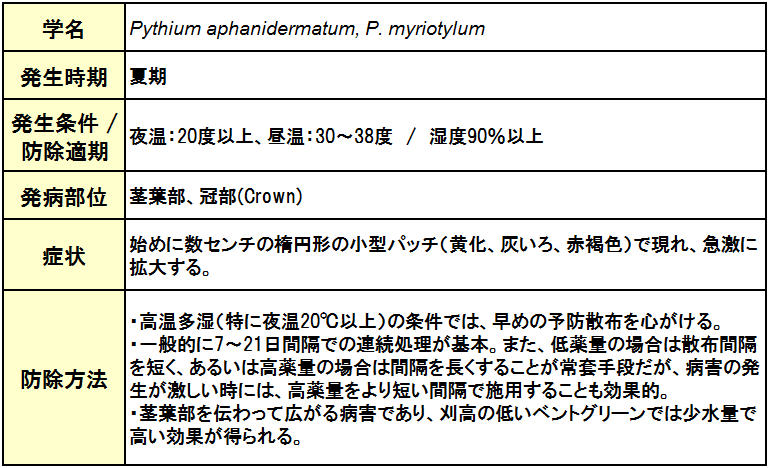Pythium Blight （赤焼病）