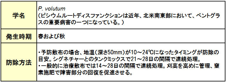 Pythium Root Dysfunction （ピシウムルートディスファンクション）