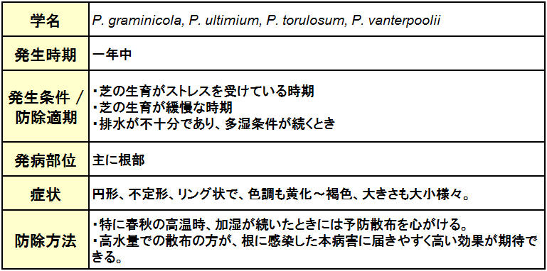 Pythium Root Rot （ピシウム病）