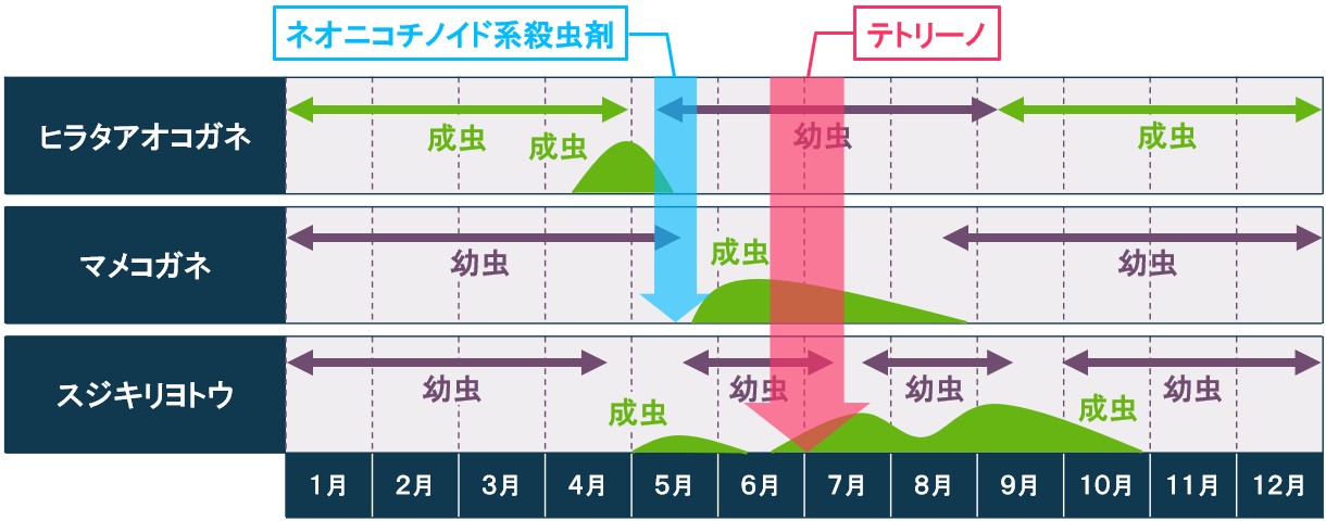 コガネムシ類とスジキリヨトウの同時防除