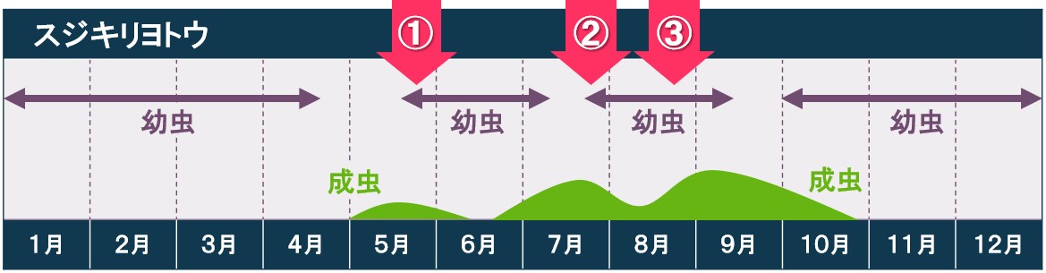 ＦＷやラフにおけるスジキリヨトウ対策