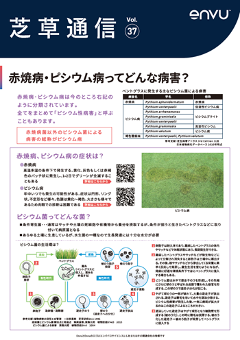 芝草通信37
