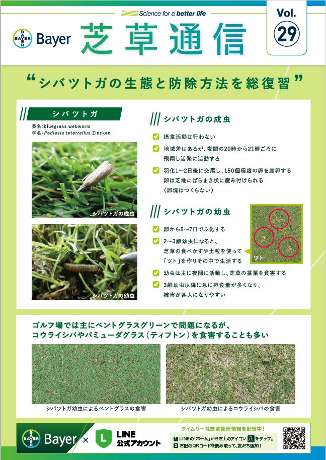 まとめ購入 つぶ 日本芝の雑草枯らす 除草剤 駆除剤 芝生 雑草 ブタクサ スギナ N ショップ 通販 ショップまとめ購入 つぶ 日本芝の雑草枯らす 除草剤 駆除剤 芝生 雑草 ブタクサ スギナ Tecnomallas Com Ar