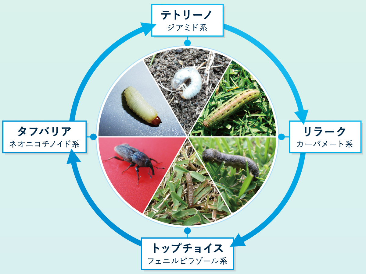 殺虫剤のローテーション散布