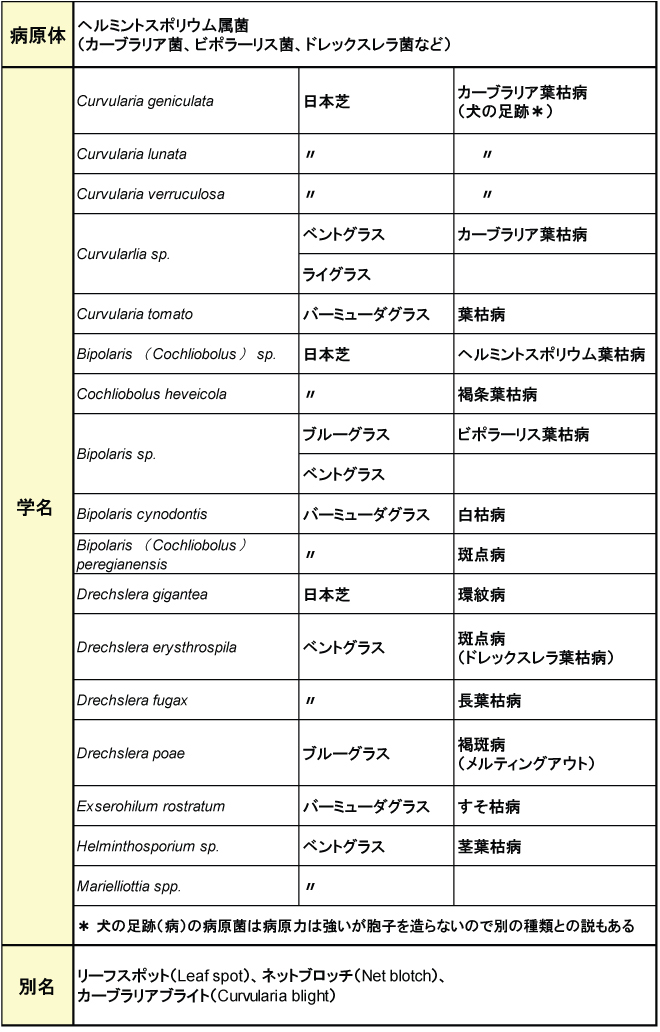 ヘルミントスポリウム葉枯病