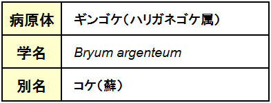 蘚類（コケ類）