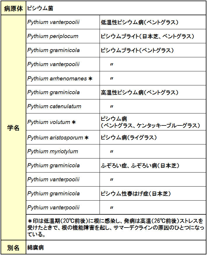 ピシウム病