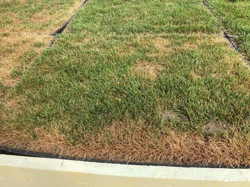 Fiata Boost 150 gha 28 days after application