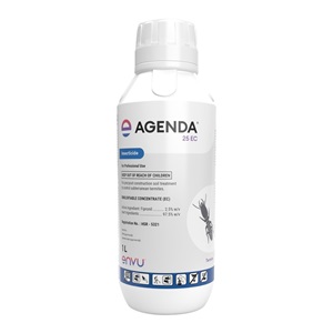 Agenda 25 EC