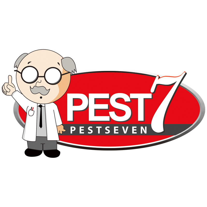 PEST7