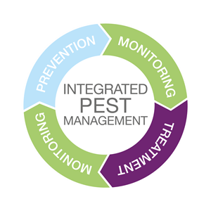 IPM cirkel