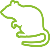 Prevent Icon