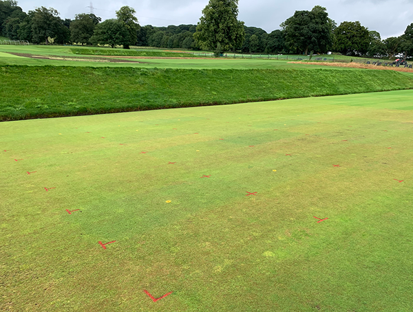 STRI trial plots