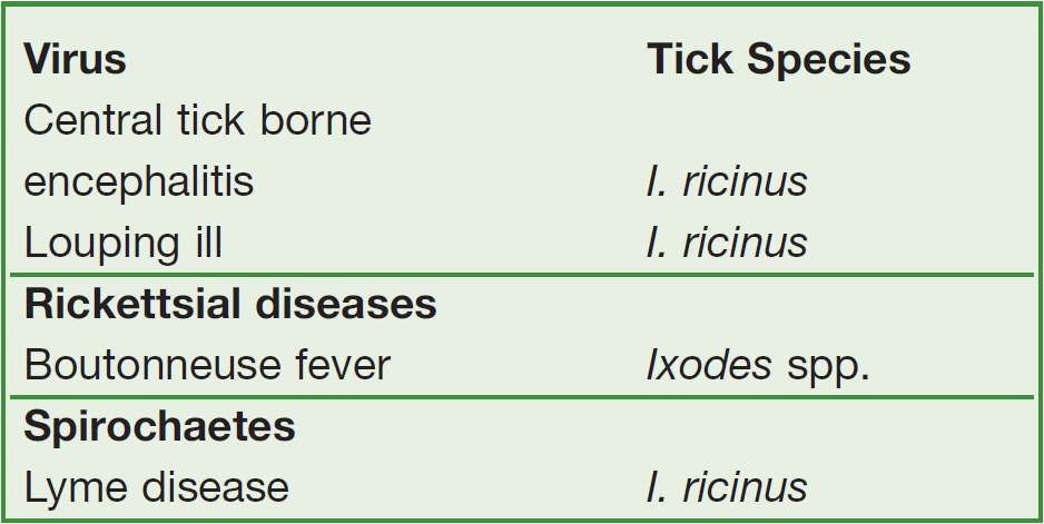 Tick table