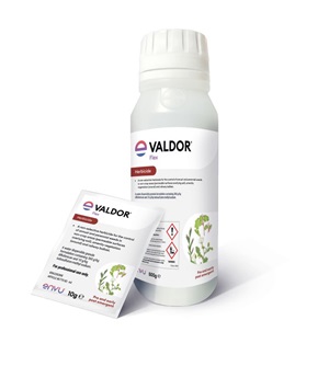 ValdorFlex-envu-800x800
