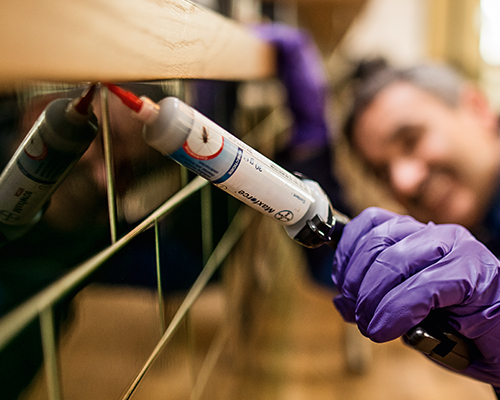 Pest Management Professional Applying Maxforce