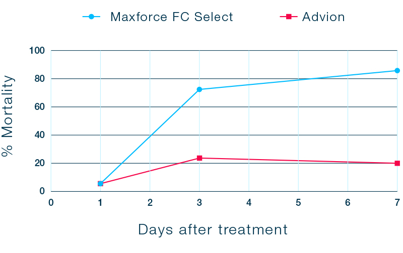 German cockroach Maxforce Mortality Study