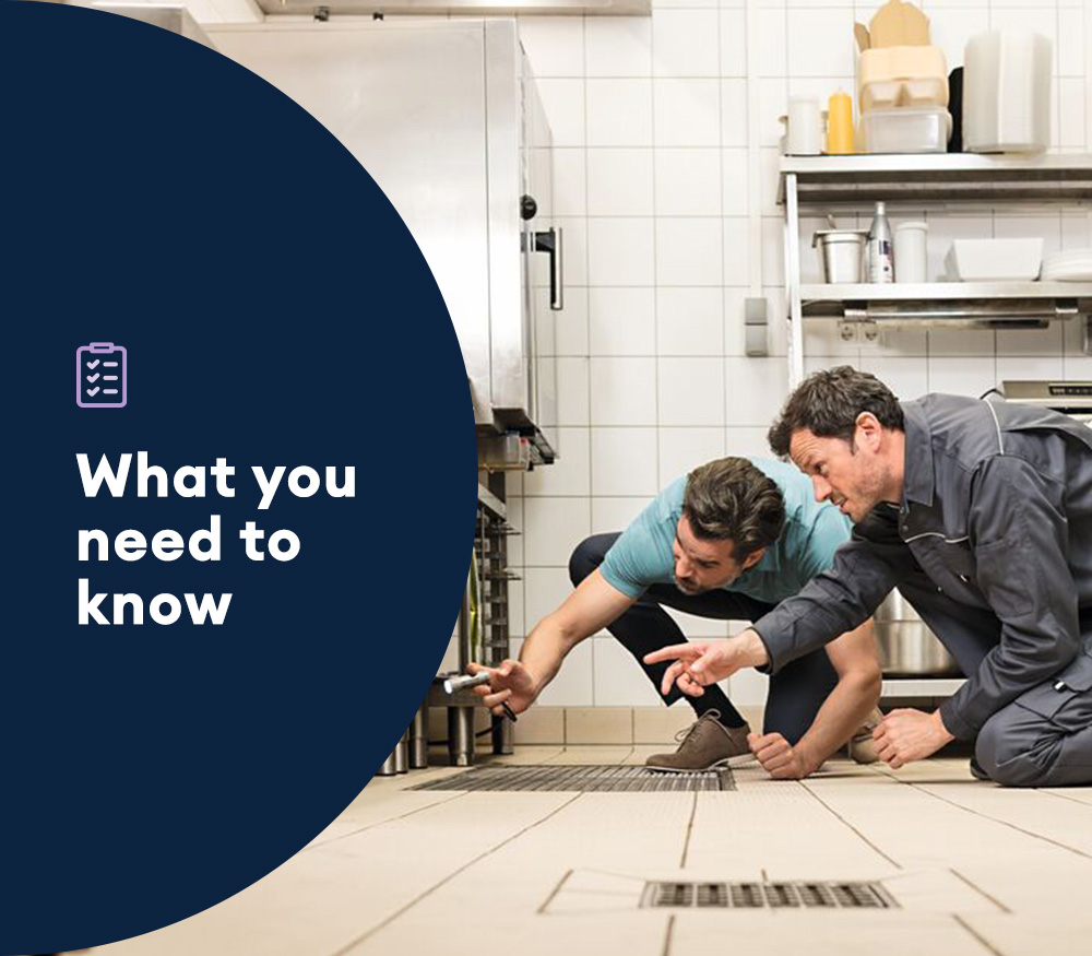 text what you need to know image two men inspecting kitchen for pests