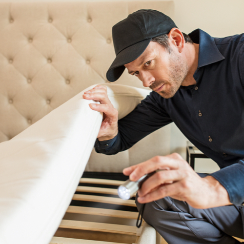 inspecting under mattress with flashlight