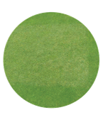Proliferation of annual bluegrass seedhead in an untreated area on a golf course putting green