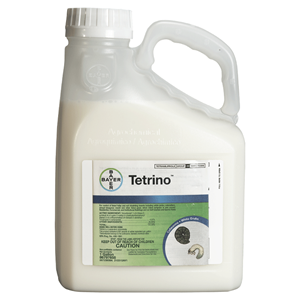 Tetrino
