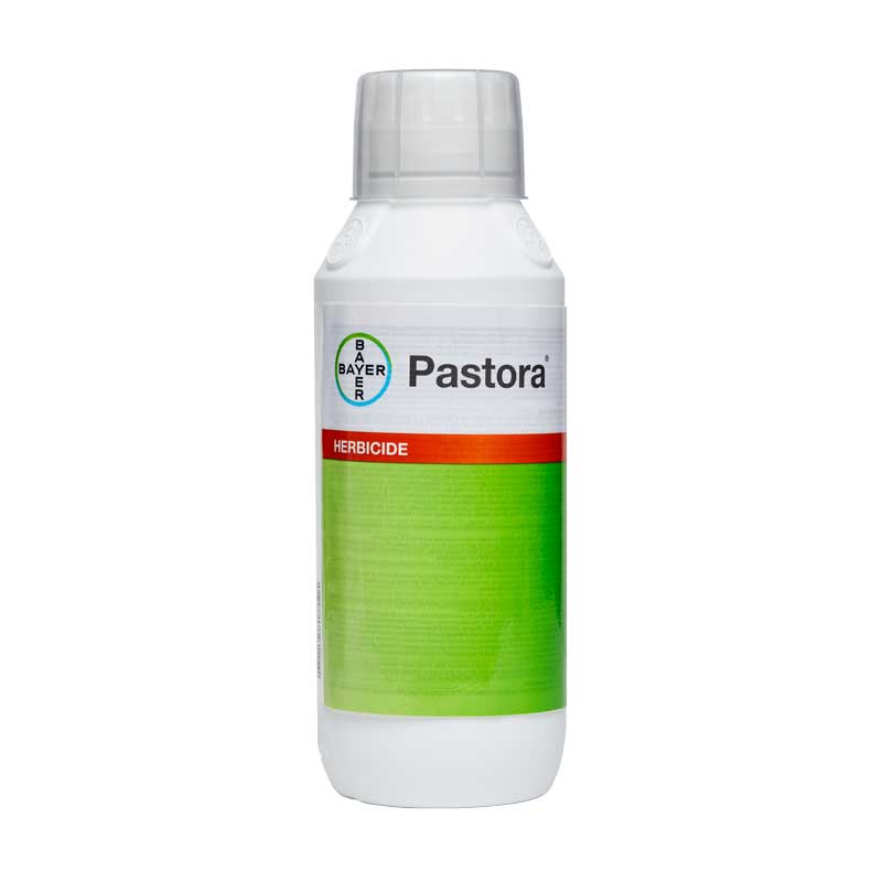 Pastora Range & Pasture Product | Bayer Environmental Science US