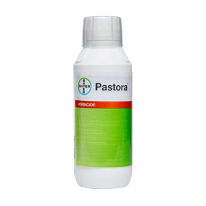 Pastora 1 Lb 1 Oz Bottle Product Package