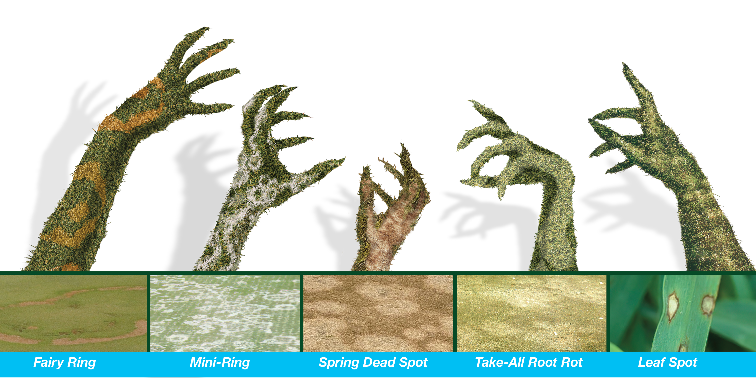 frightful five warm season