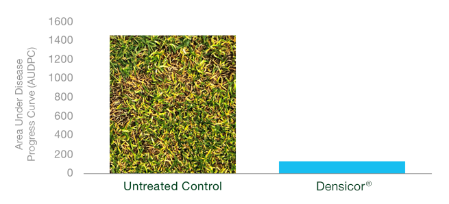 anthracnose