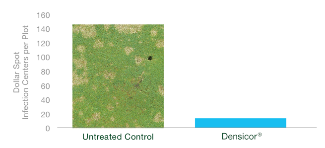Dollar spot