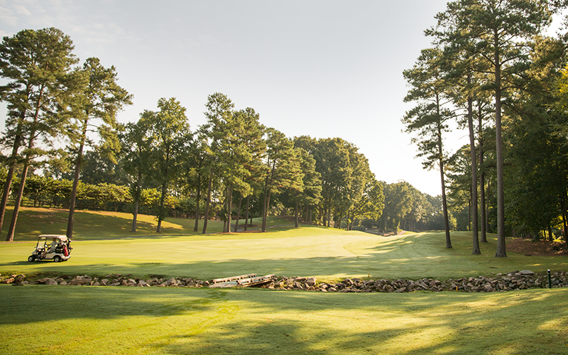 Beautiful Green Open Golf Course