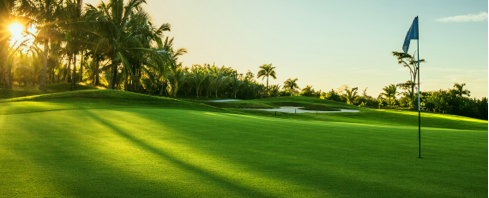 golf greens chipco signature