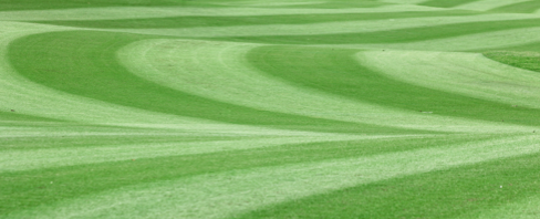 fairway tartan stressgard