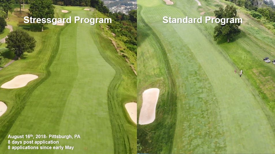 The Stressgard Difference