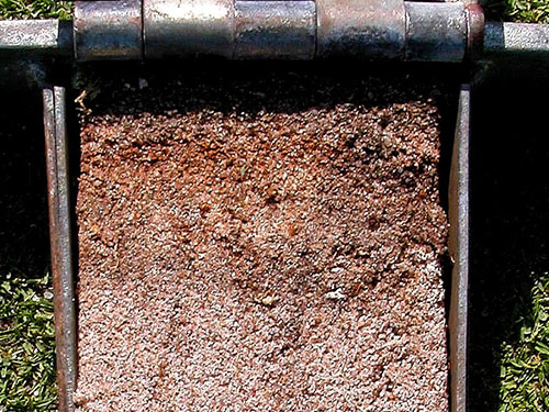 Whitish to orange mycellium is usually visible under the perimeter of the ring and determines the depth that fungicide should be watered into the soil.