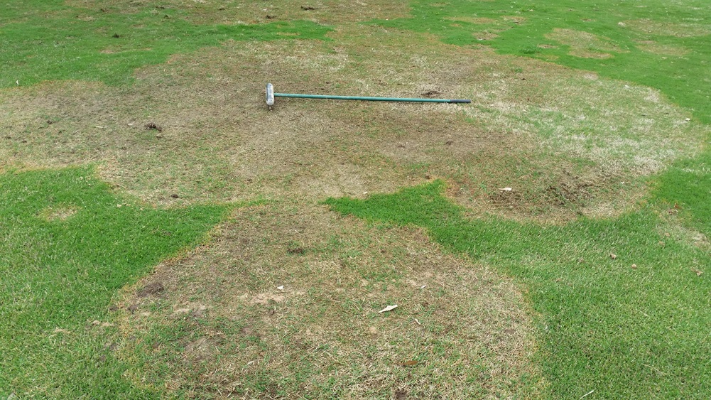 large patch 