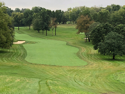 Gray leaf spot infection and damage begins in higher mowed areas like roughs. Control practices should include roughs to prevent spread into perennial ryegrass fairways and tees