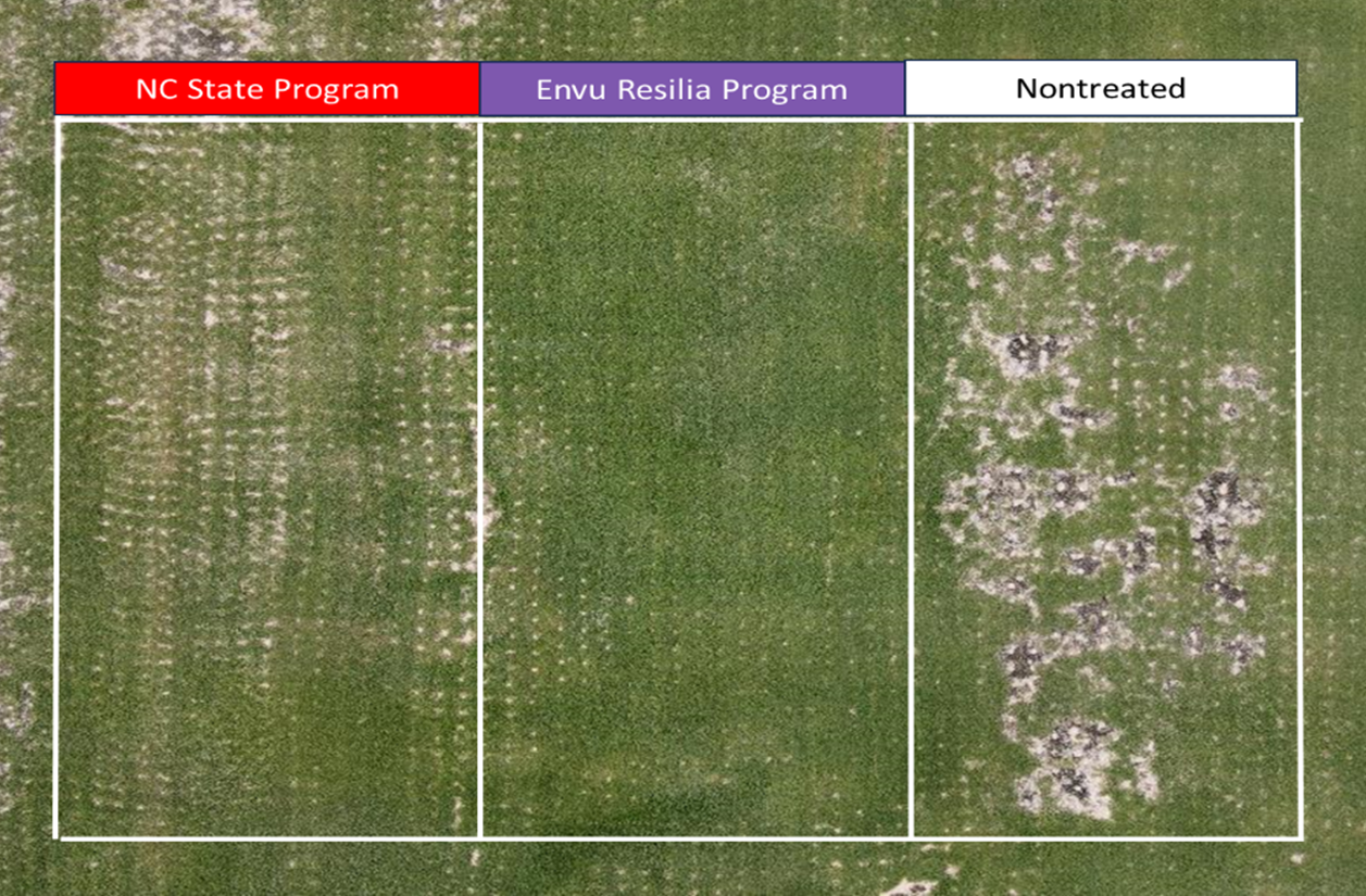 fungicide application comparison