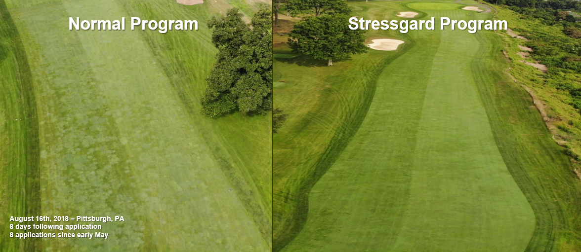 Turf performance effects on a PA fairway