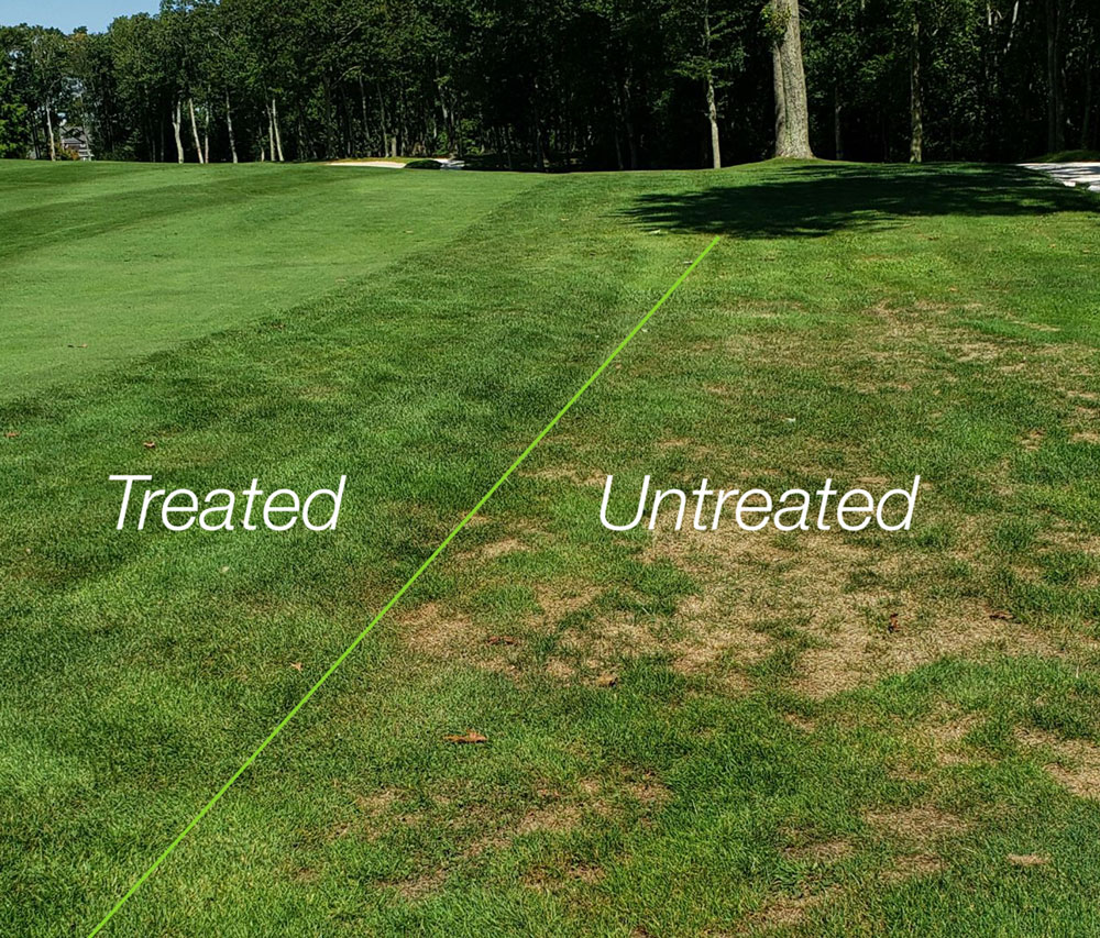 ABW treatment in Boston, MA One application in May. Results shown in June.