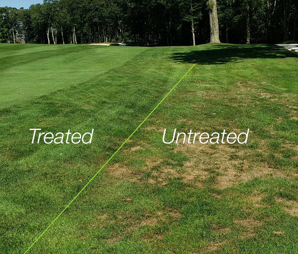 ABW treatment in Boston, MA One application in May. Results shown in June.
