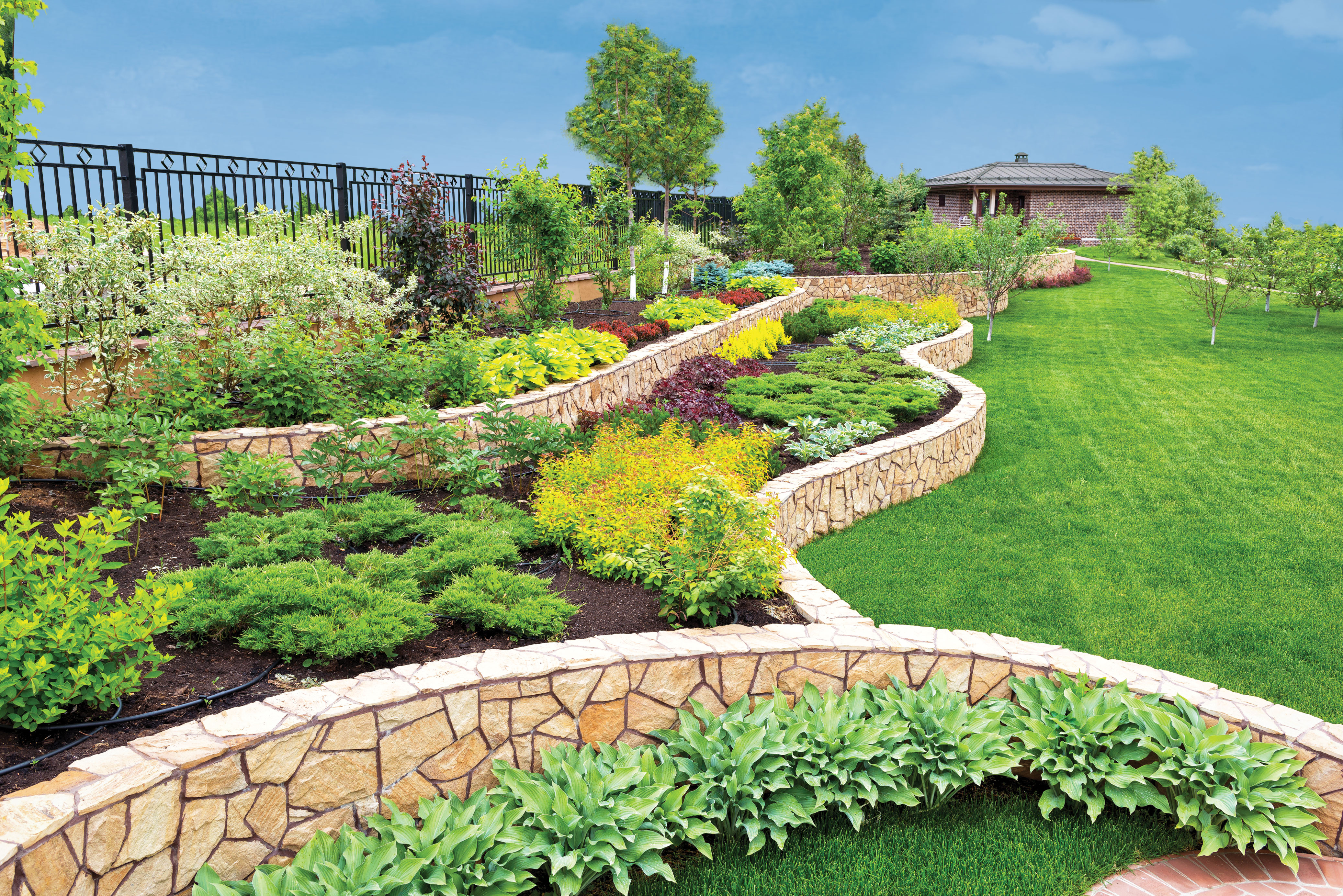 landscaped backyard