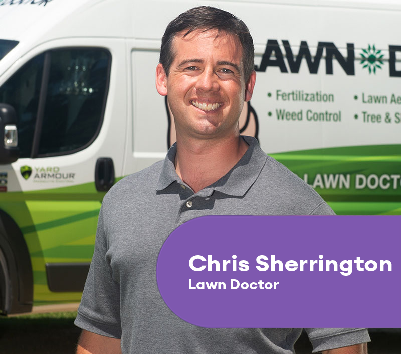 lawn doctor