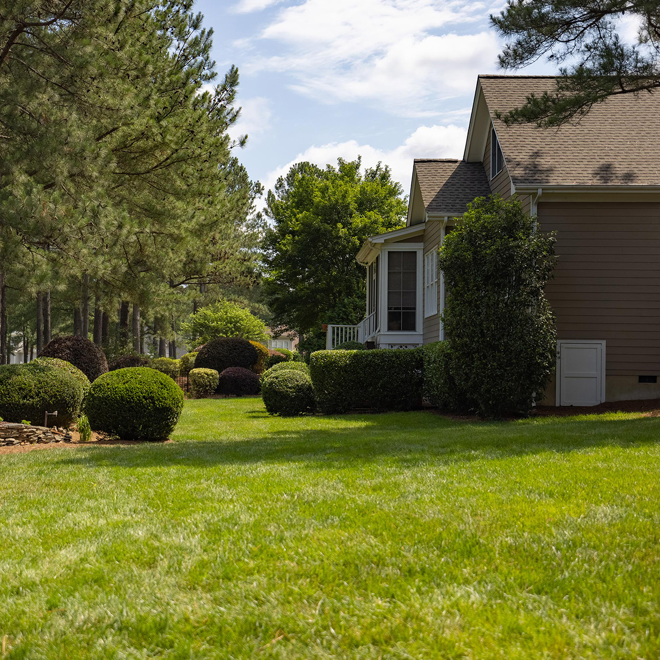 backyard view of lawn